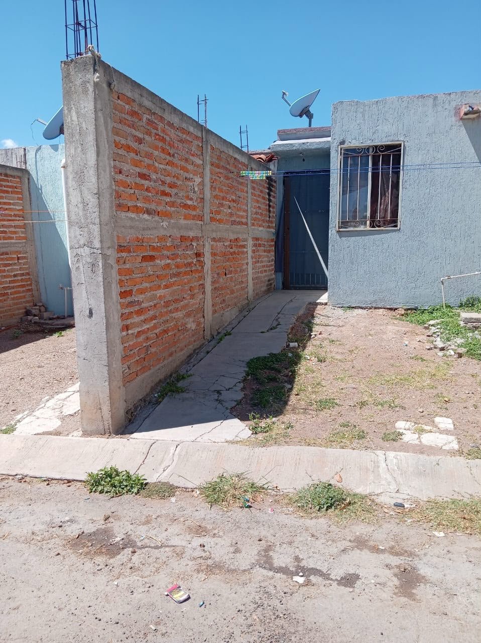 Imagen 6